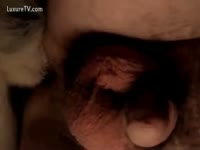 Close up episode of brute fucking man's wazoo